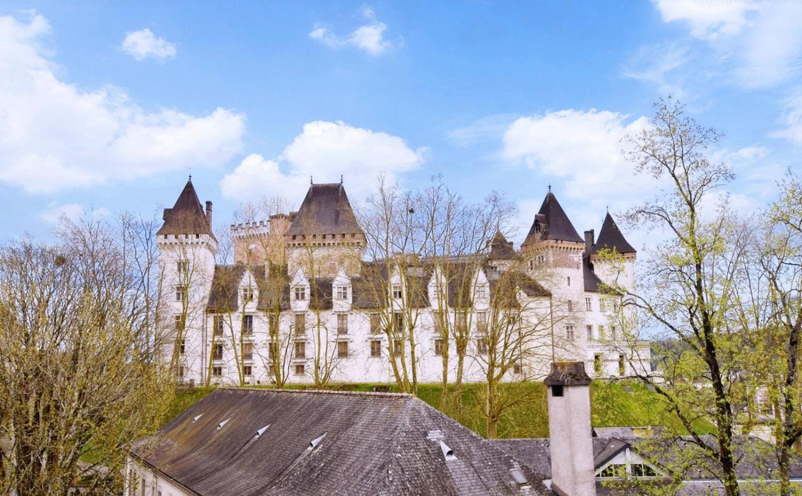 La Vue Royale - Face Au Chateau - Wifi - 4 Personnes Pau Zewnętrze zdjęcie